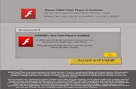 Adobe Flash Player for IE 15