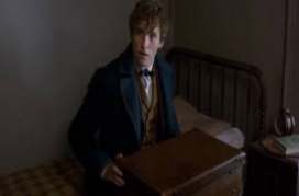 Fantastic Beasts and Where to Find