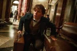 Fantastic Beasts And Where To 2016