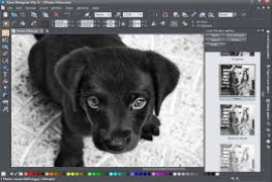 Xara Designer Pro X365